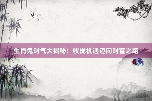 生肖兔财气大揭秘：收拢机遇迈向财富之路